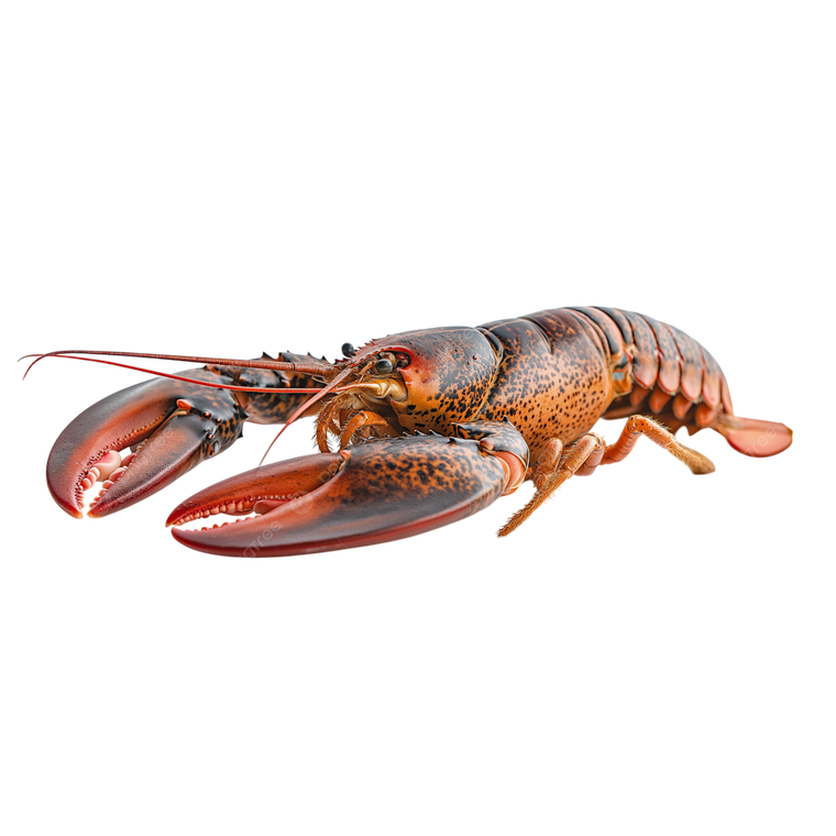 Istakoz